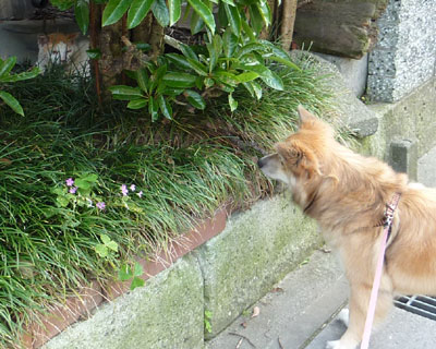 ����H�����z�����́H