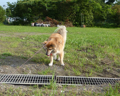 �Ԃ����킢