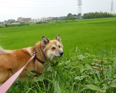 ���ɂ��V�N�ȑ����K�v