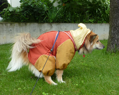 �����΂��҂͑��ɋ���