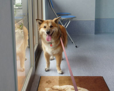 �A�蓹�ɂ܂�������