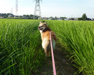 �����Ԉ�L�т���