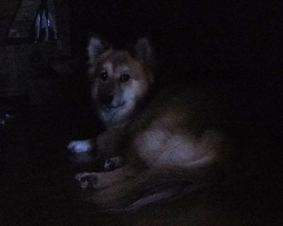 �p����������Â����u�����ɔ��