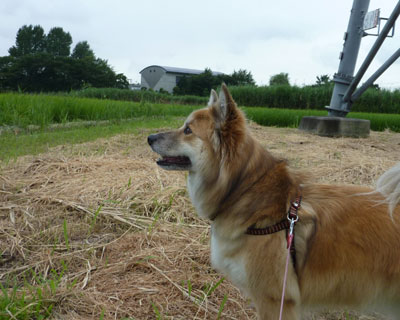 �����d�͂͑����肪�D���݂�������