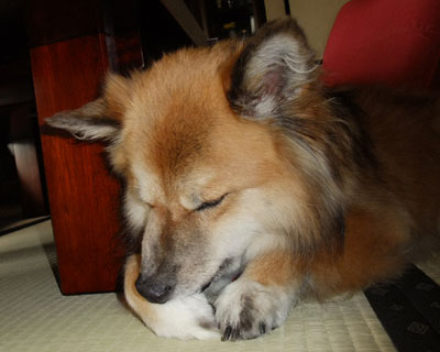 �܂�������