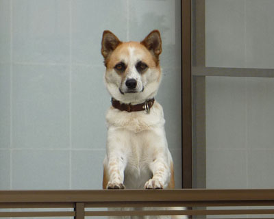 ���̎q�͗F�B����