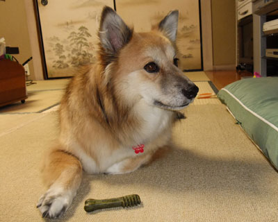 �����Ɗ񂹂�ꂽ