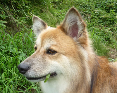 �t���ς��₯�H��