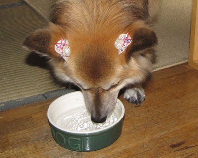 �Ȃ񂾂������C�ɂȂ�