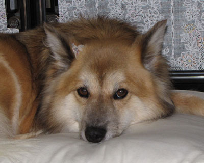 ��ɂ͔����肪�������