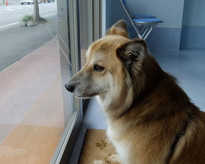 �܂����܂������ɗ��邱�ƂɂȂ낤�Ƃ�