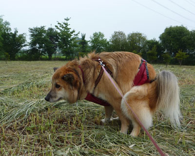 ������̂��Ƃ͂܂������