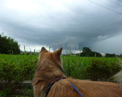 ���̋�ւ񂶂�Ȃ��H