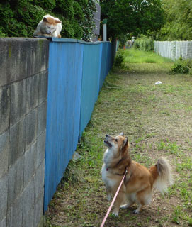 ����H�����Ă��́H