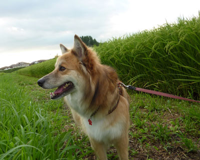 �z������Ă�����