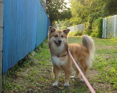 �����炶��Ȃ��́H