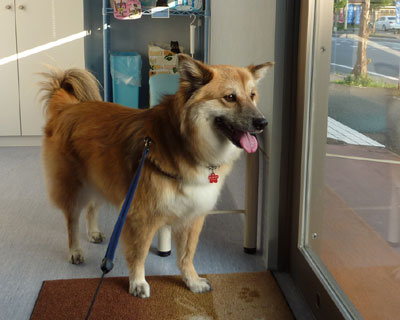 �N�����͑S���Q�T�Ԃ�����