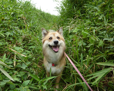 �W�����O���������Ɉ���Ă�