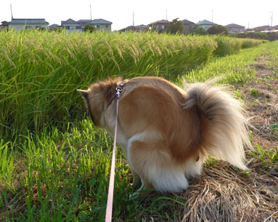 ��Ƃ�����