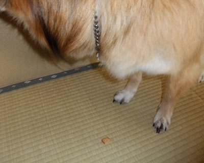 �����C�����邨���