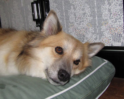 �Q�Ă邾���Ŏʐ^���B��ꂽ