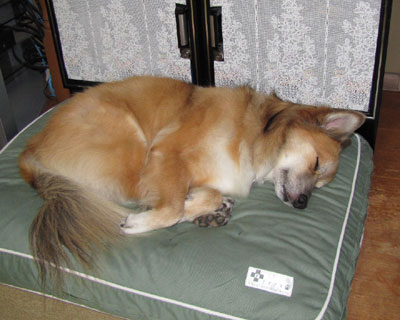 �����葫���܂Ƃ߂ĐQ��G��