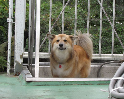 �T�[�{�`�e�͂��܂����炵����