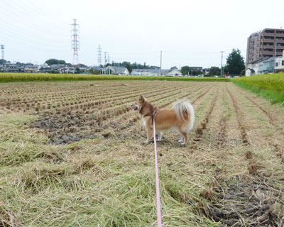 ��肪�n�܂���