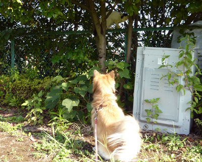 �˂������ɂ����A