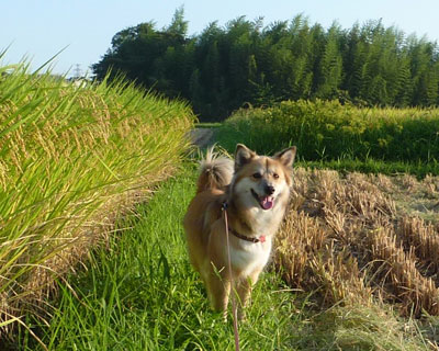 �Z�p�̐i�����ȁH