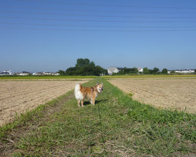 �L�X�������