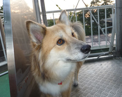 ���t�g�ɏ��ƕςȊ�ɂȂ�