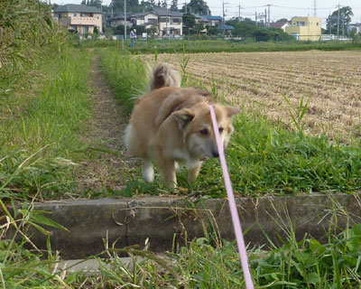 �E�p���䖳��