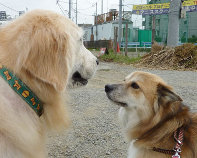 �傫���l�ɉ�Ǝ������߂�Ȃ����ɂȂ�