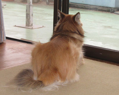 �������U�����