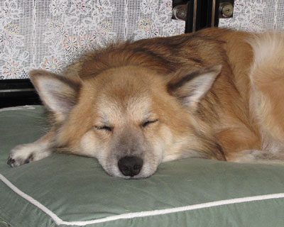 �ߍ��A�z�c���C��������