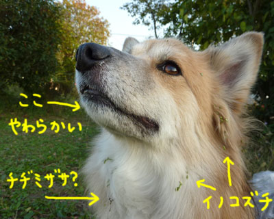 ���ނ�Ŏ��n