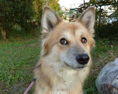 �J������������Ɗ��w����