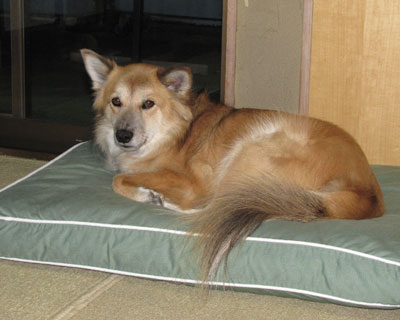 �x�b�h���ǂ��ɒu���Ă��A�����������̏ꏊ