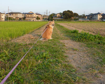 ������̗����b�̊Ԃ͉����ő҂�