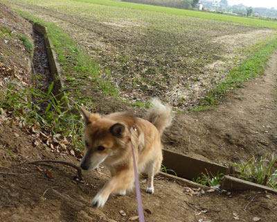 �������ő�̓