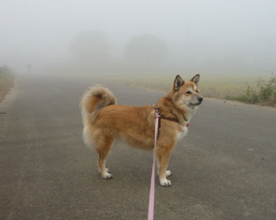 �Ȃ񂩌i�F�������񂾂�