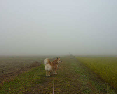 �y�����������������