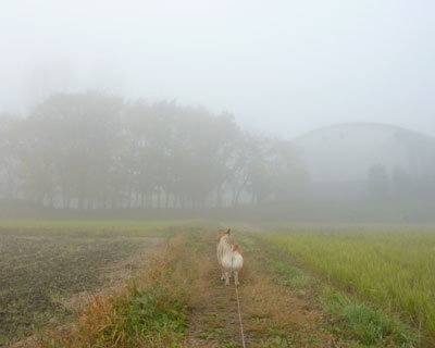 ���A�߂Â�����o��