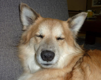 ����ς蒋�Q�͍��֎q�Ɍ����