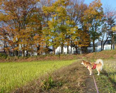 �P�Q���ɂȂ��Ă���ƍg�t����