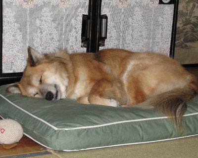 ���낻��葫���܂Ƃ߂Ȃ���