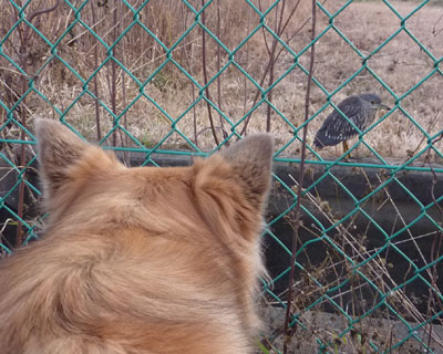 ���̎q�A��Ȃ���