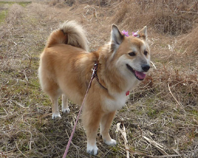 �����̂�����Ȃ̂��ȁH