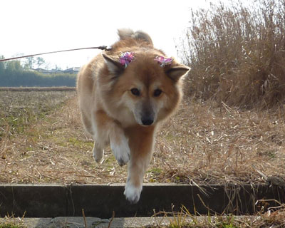 �Ȃ�ƂȂ�����������